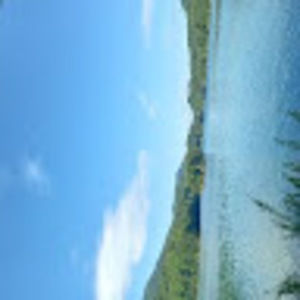 Meet your Posher, Doris